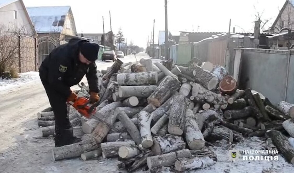 В Киевской области полицейские накололи дров для многодетной семьи (видео)