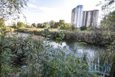В Киеве ликвидируют часть озера для строительства высотных зданий
