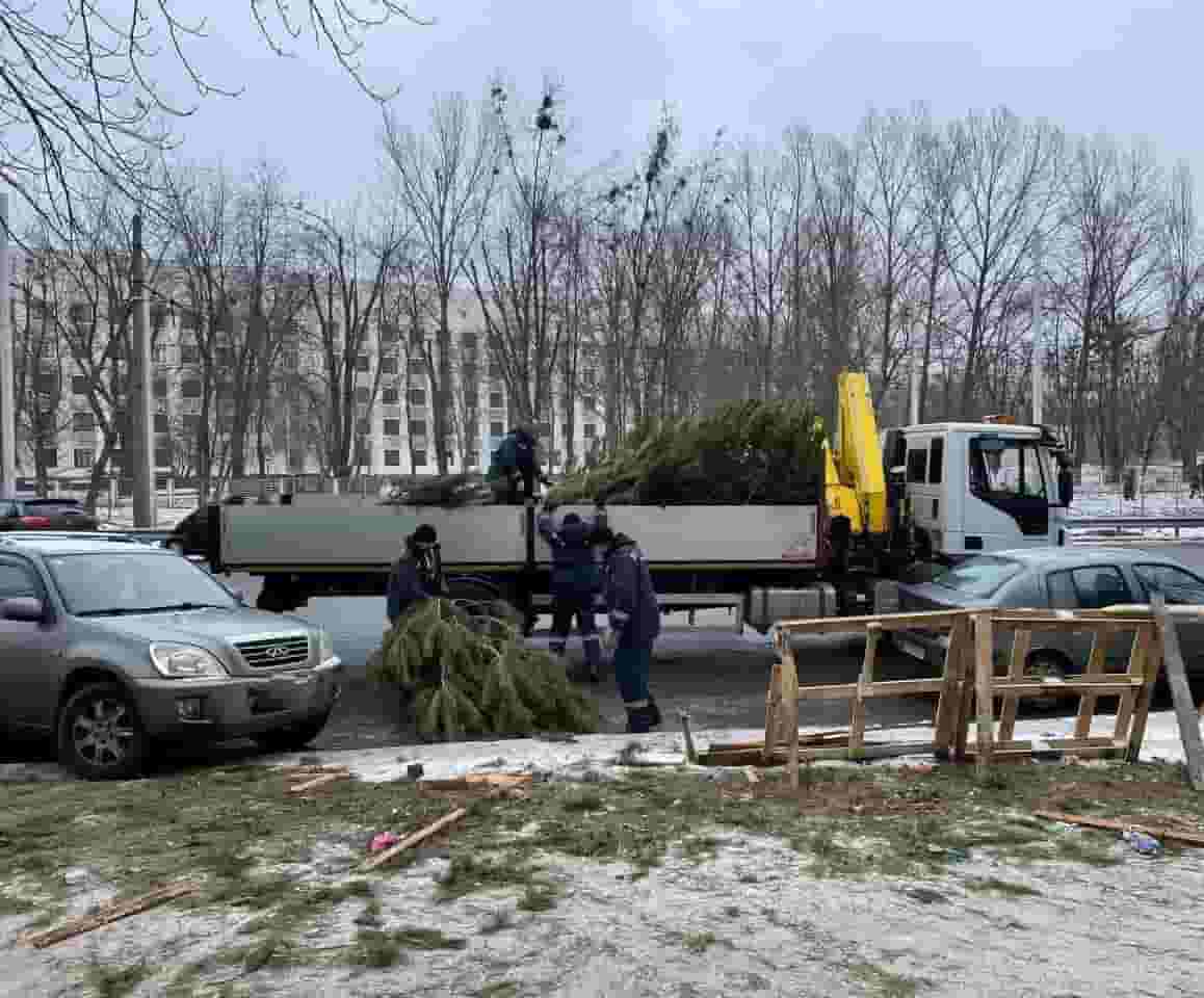 Накануне Нового года в Киеве ликвидировали около тридцати несанкционированных елочных базаров (фото)