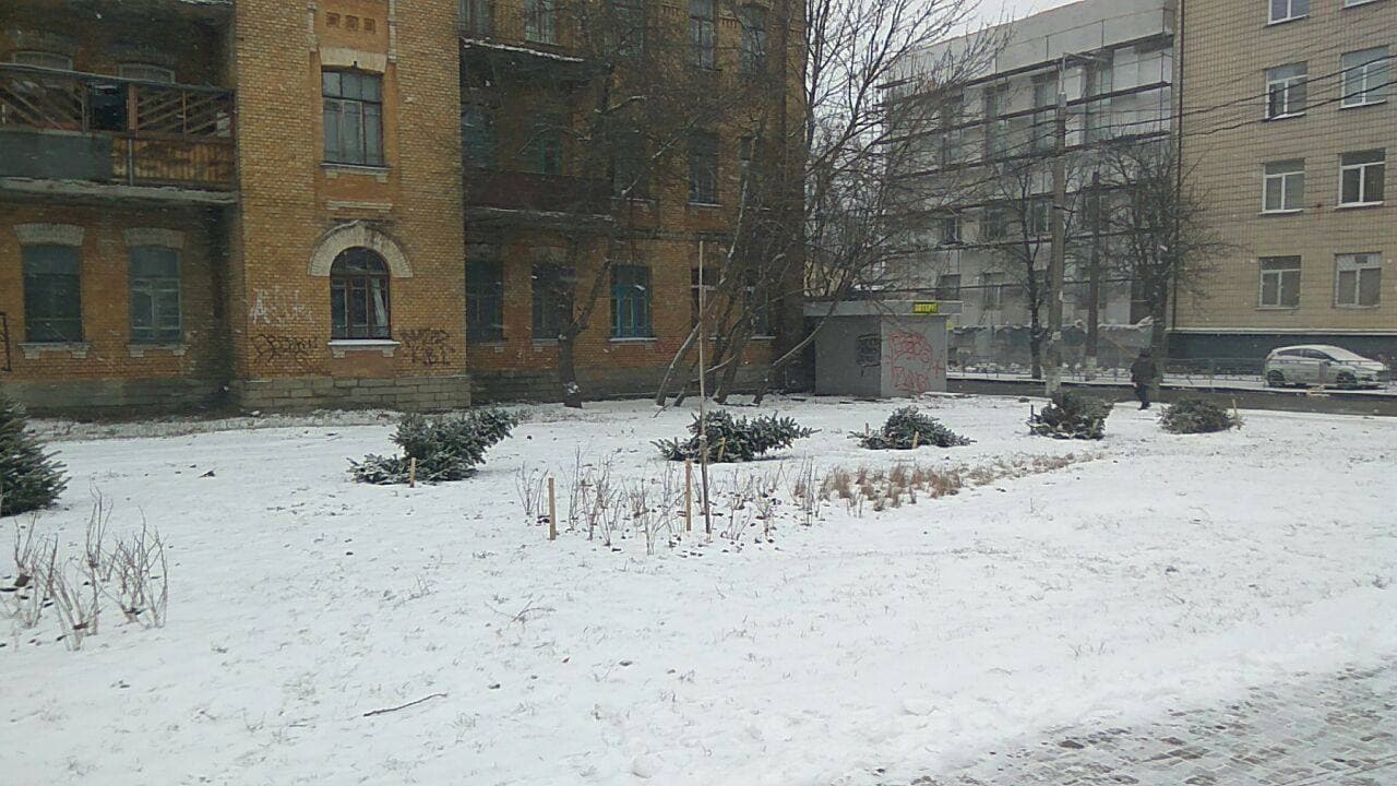 В Киеве на Соломенке вандалы снесли несколько елок