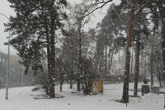 В Киеве и ближайших пригородах прошел сильный снегопад
