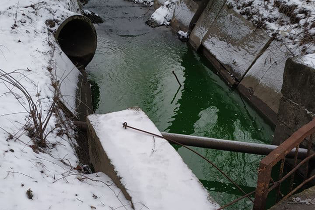 В киевском парке Нивки вода в реке Сырец стала зеленой