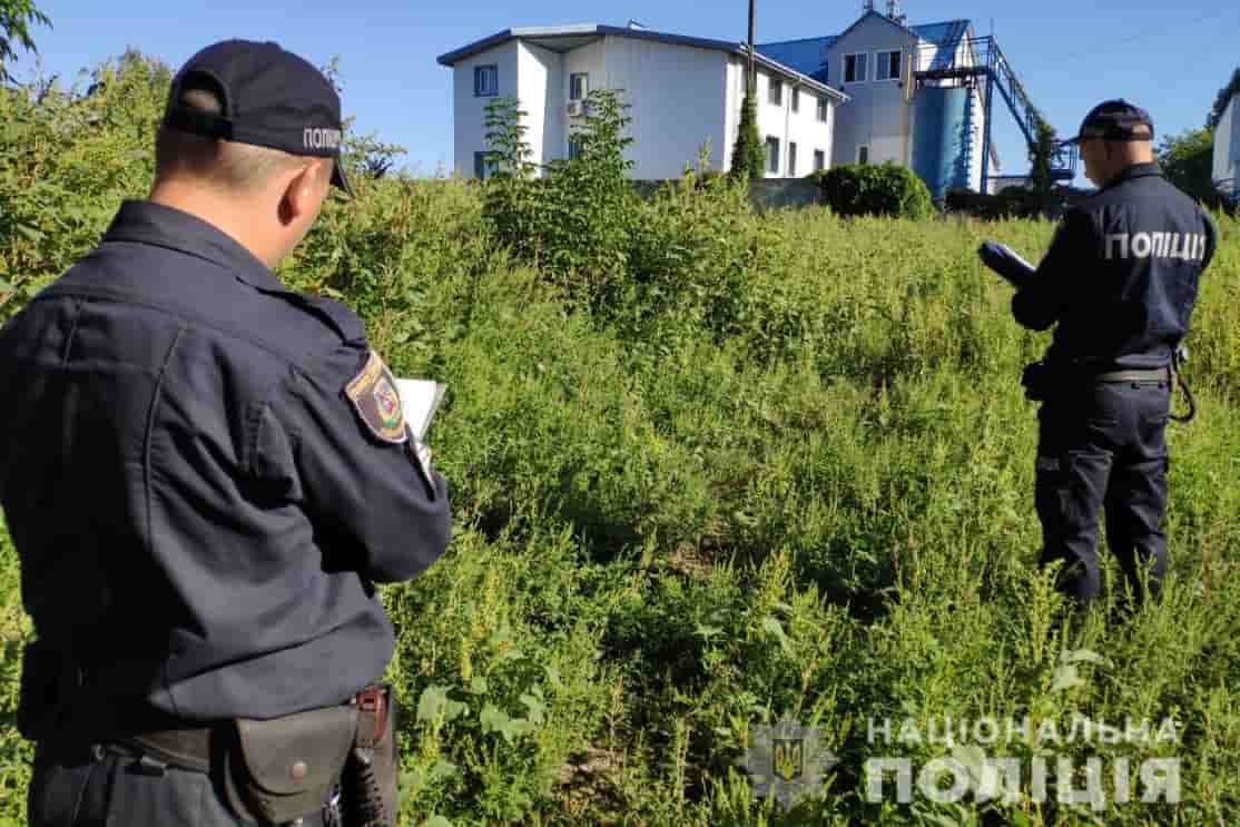 В Киевской области мошенники похищали земельные участки