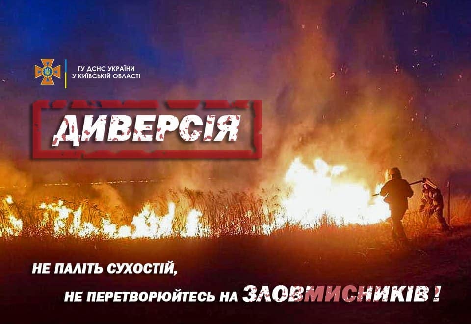 В Броварском районе выгорело два гектара сухостоя