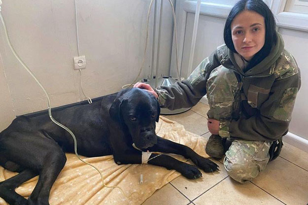 Киевские полицейские-кинологи спасли от смерти собаку, которую оставили хозяева