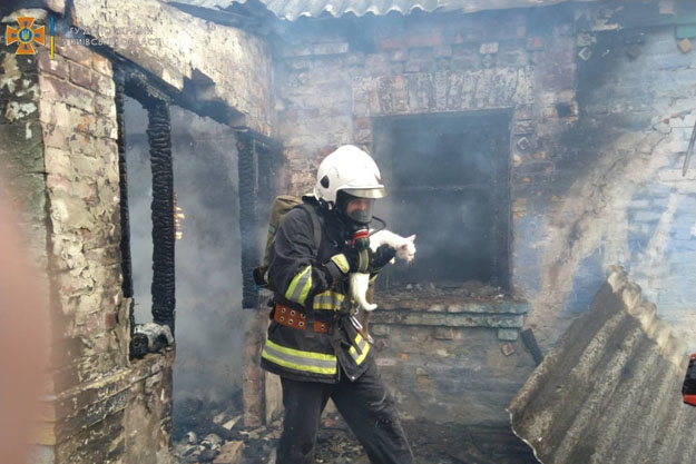 В Киевской области бойцы ГСЧС во время пожара спасли кота
