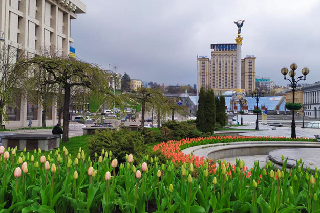 В центре Киева расцвели 100 тысяч тюльпанов (фото)