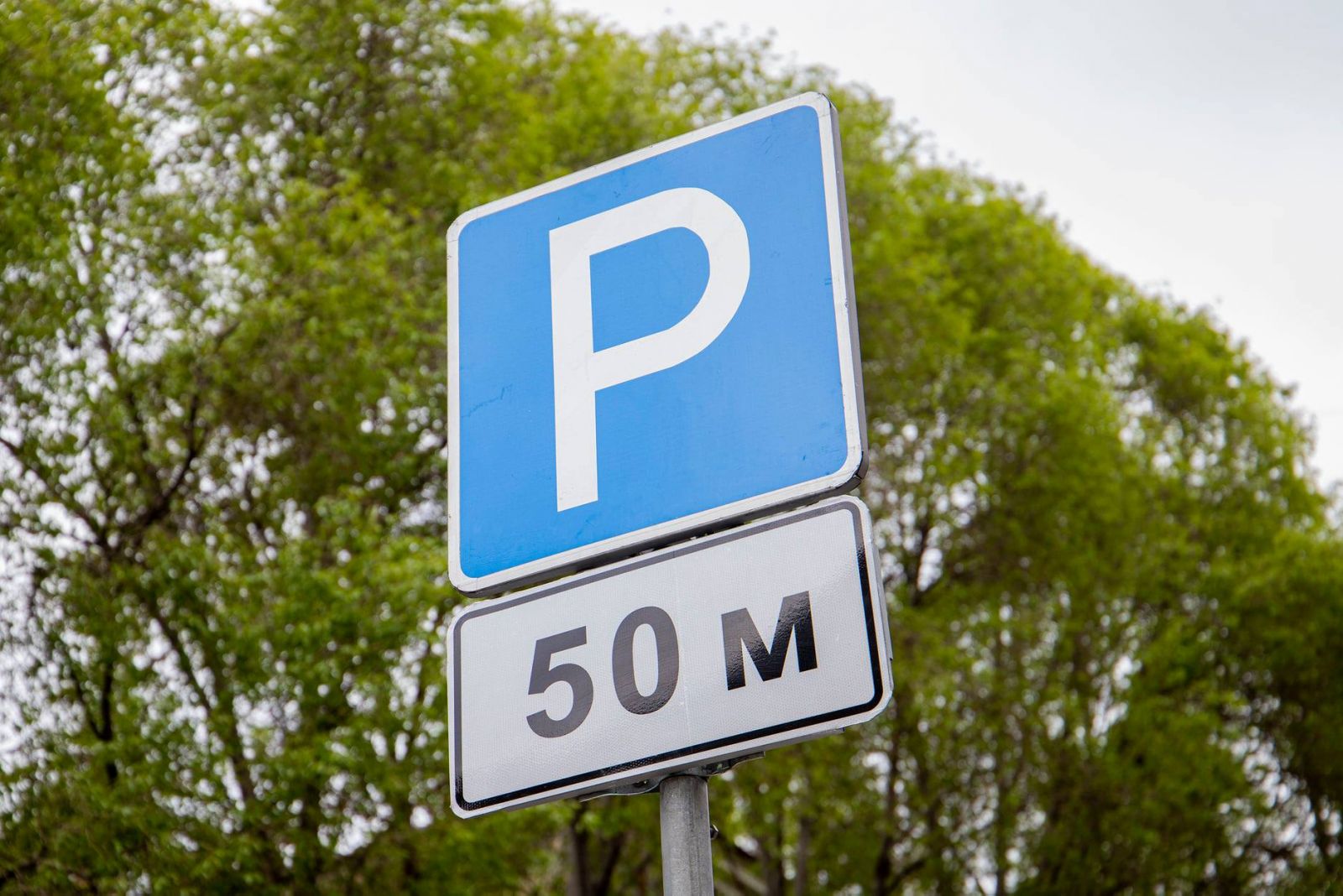 “Киев Цифровой” возобновил сервис для оплаты парковки