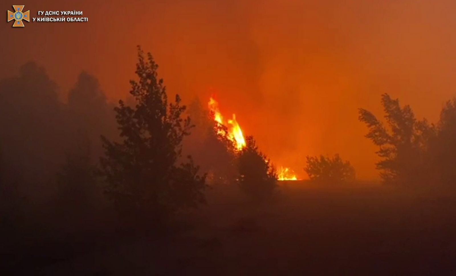 В Киевской области пожар охватил 45 гектаров леса (фото, видео)