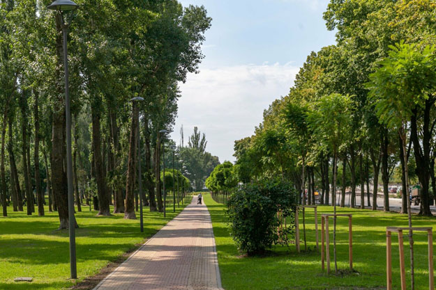 В киевской мэрии назвали опасные парки и скверы в столице