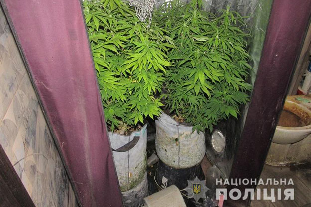 В Деснянском районе Киева местный житель создал нарколабораторию