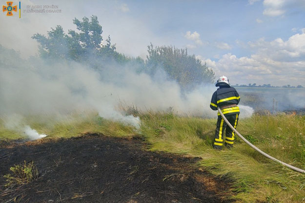 В Киеве объявлен чрезвычайный уровень пожарной опасности. Продолжается запрет на сжигание сухостоя и посещение лесов