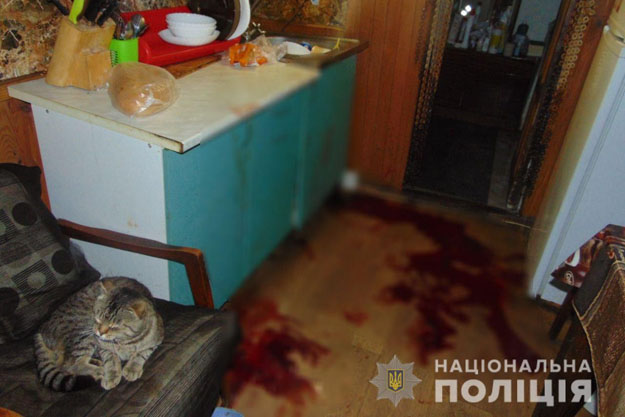 В Вышгородском районе 19-летний молодой человек нанес многочисленные ножевые ранения 34-летней сожительнице