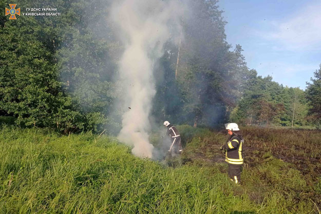 В Киевской области произошло несколько пожаров в экосистемах