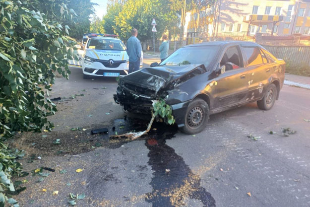 В Киевской области ранее судимый местный житель угнал автомобиль и врезался в дерево