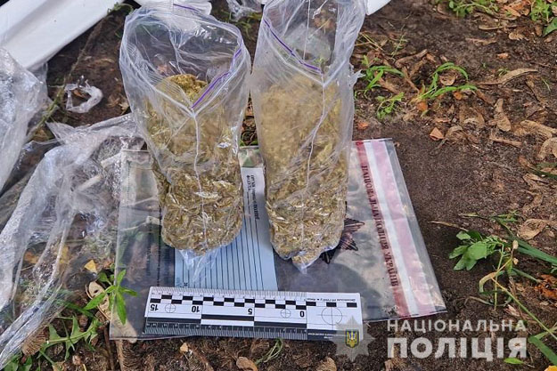 В Києві на Лісовому масиві діяв збувач наркотиків (відео)