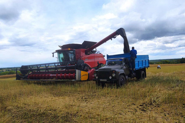 В Київській області почали збирати врожай зернових. Середня врожайність – більше 28 центнерів з гектару