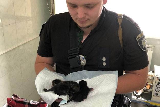 Київський поліцейський врятував життя трьом кошенятам 