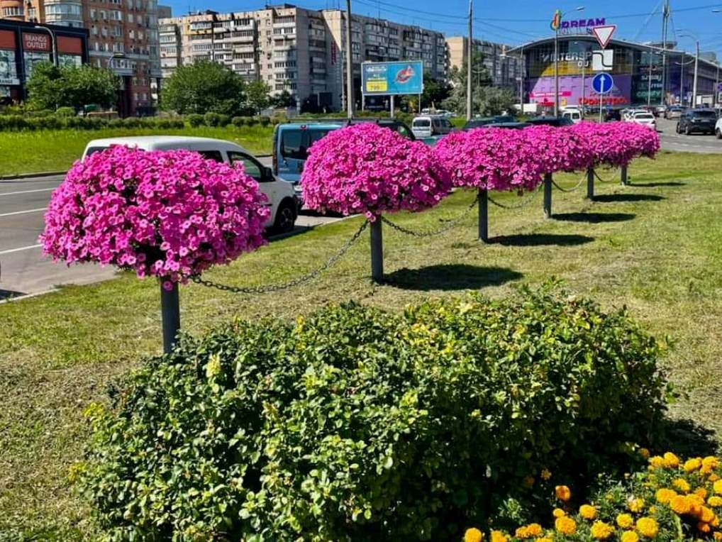 В Киеве с начала года высадили 2800 деревьев, более 22 тысяч кустов и более 5 миллионов цветов (фото)