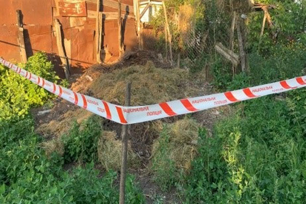 Двоє мешканців Київської області до смерті побили товариша по чарці і закопали труп у компостній ямі. Суд оголосив вирок