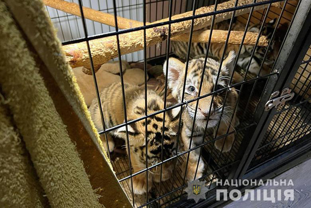 Киевские полицейские разоблачили двух граждан, занимавшихся незаконной торговлей животными. Изъято около 400 животных разных видов (фото)