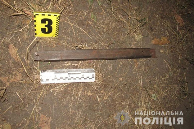 В Днепровском районе Киева несовершеннолетний металлической палкой убил отчима (видео)