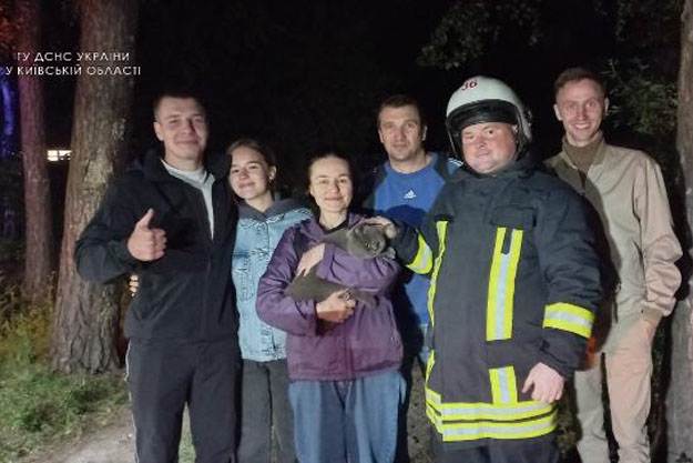 В Бучанському районі жінка залізла на дерево за котом, але не розрахувала свої можливості. На допомогу прийшли рятівники