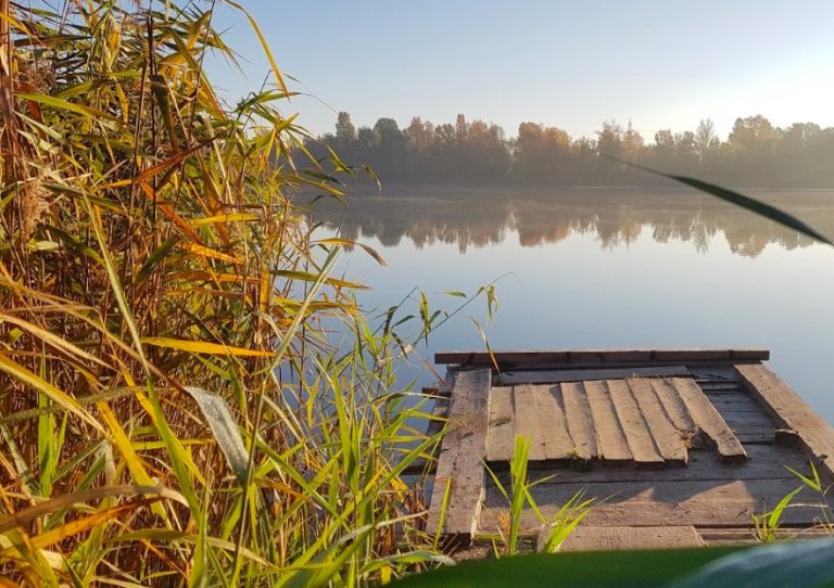 Озеро в Киеве хотят превратить в ландшафтный заказник