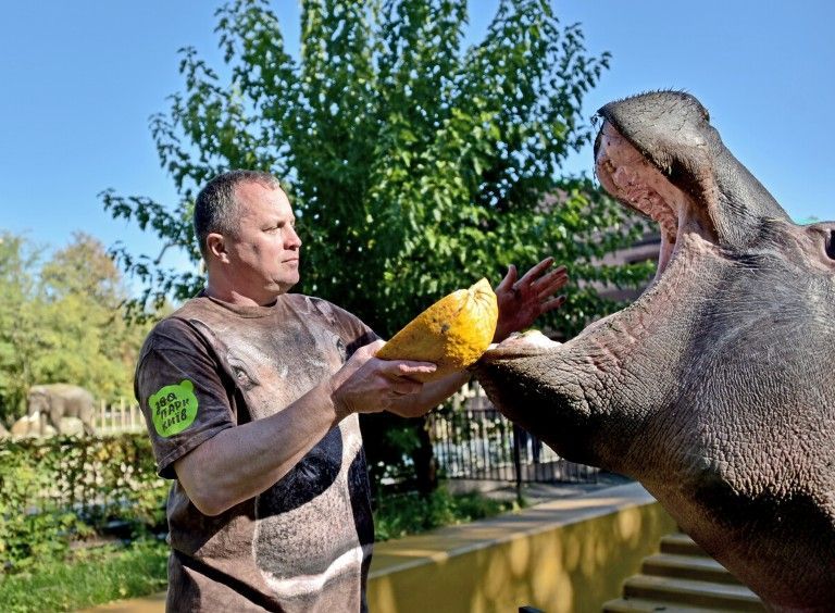 Киевлян зовут посмотреть, как в зоопарке кормят животных