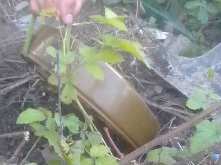 Была спрятана в грибах: в лесу под Киевом нашли мину