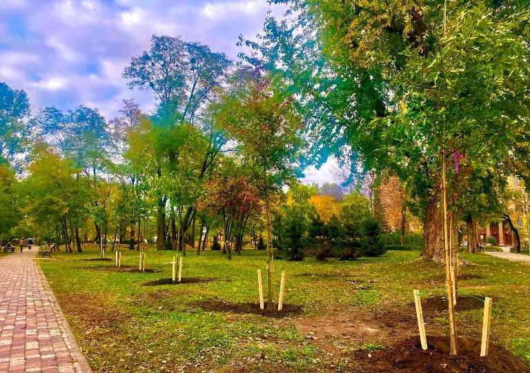 В киевском парке высадили дубы и калину