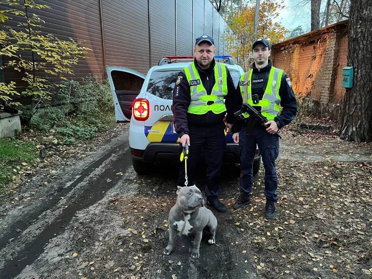 В Буче из колодца спасли домашнюю собаку