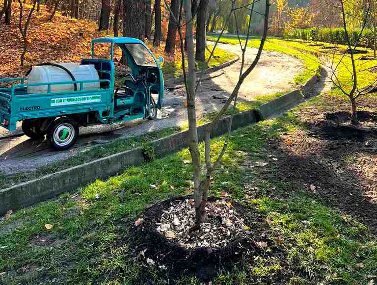В Голосеевском парке высадили дубы и магнолии