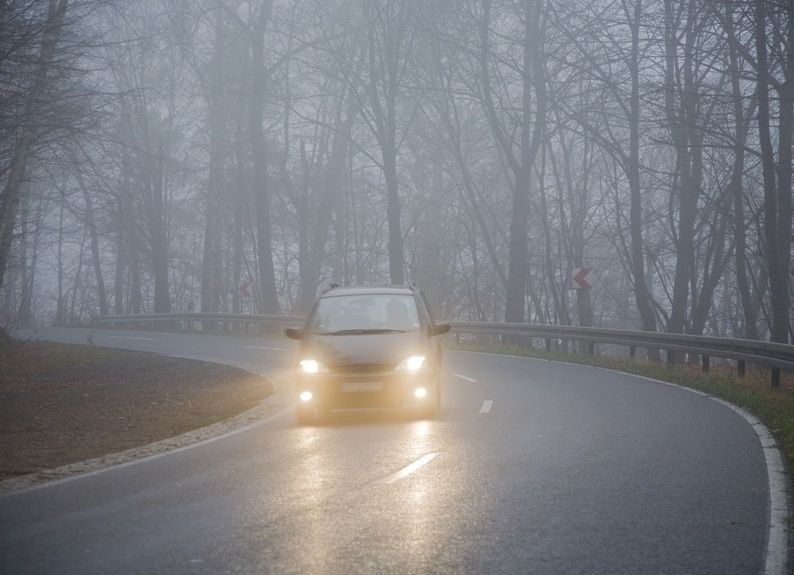 В Киевской области - туман, водителей предупреждают об опасности