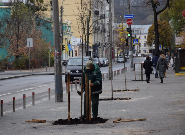 На Подоле в Киеве высадили липы