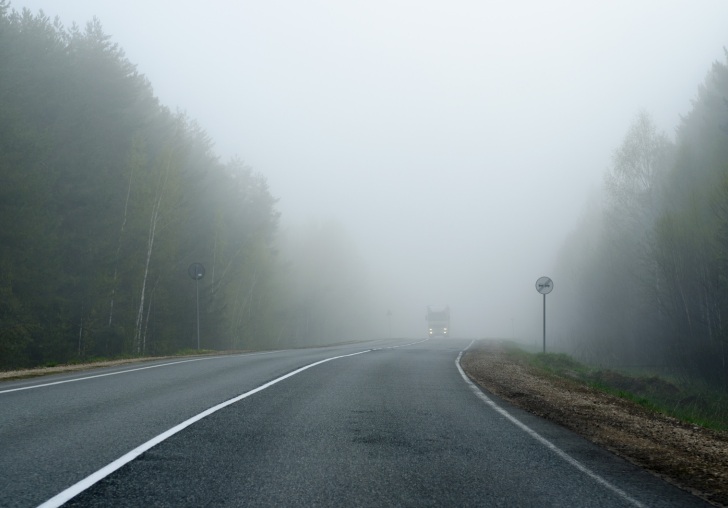 В Киевской области – туман, водителей предупреждают об опасности на дорогах