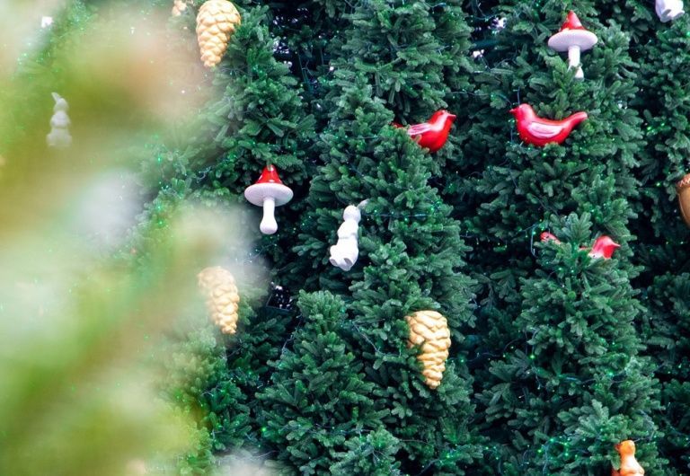 Киевляне просят установить новогоднюю елку в центре столицы