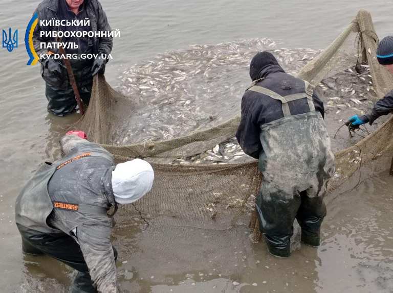 У водосховищі під Києвом випустили тонну риби