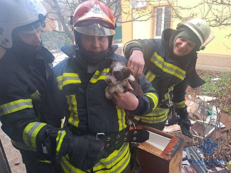 В Киевской области на пожаре спасли щенка