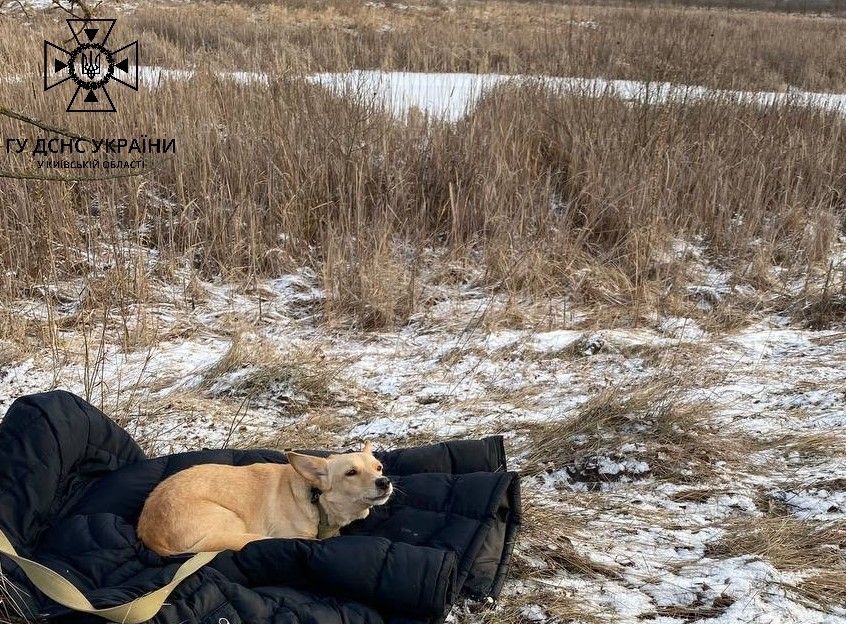 На озере под Киевом мужчина погиб, провалившись под лед