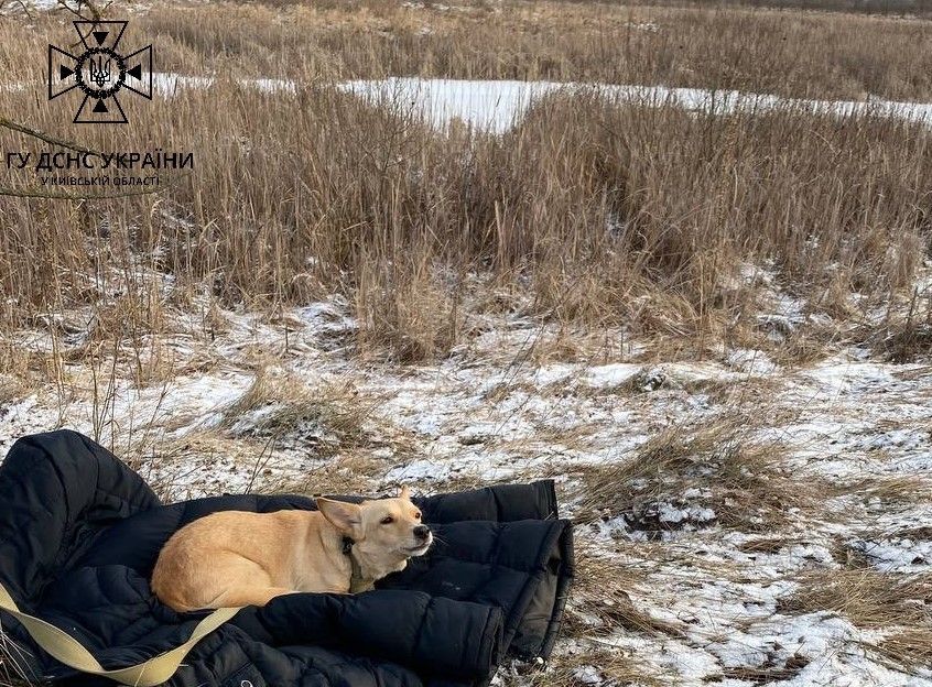 На озері під Києвом чоловік загинув, провалившись під лід