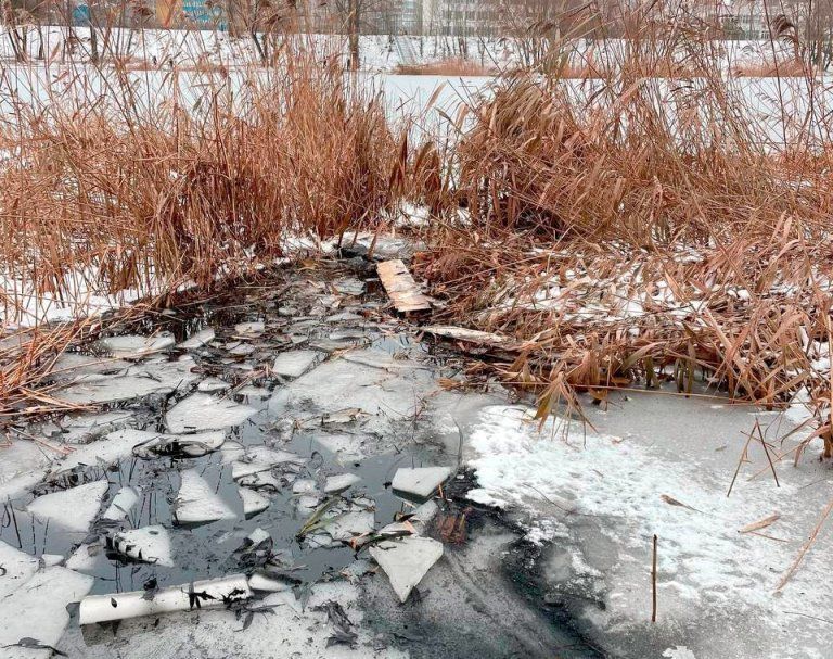 На озере в Киеве патрульные, рискуя жизнью, спасли мужчину