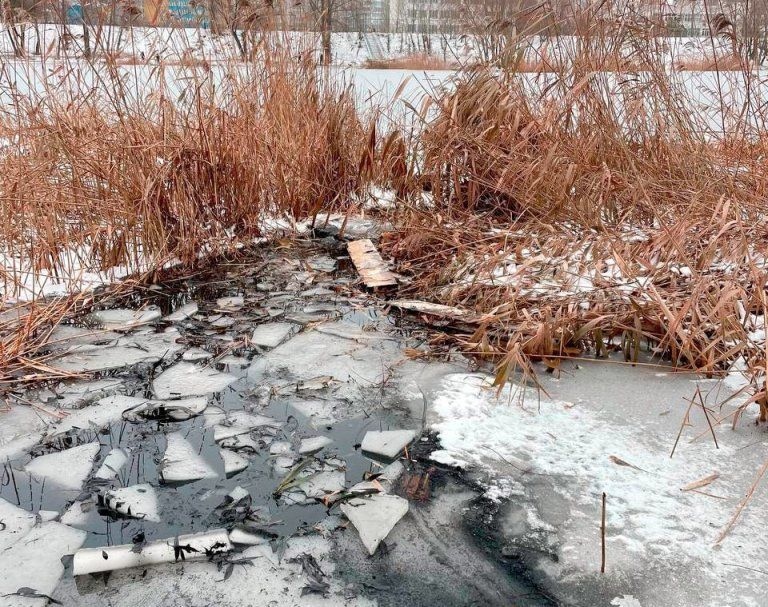 На озері в Києві патрульні, ризикуючи життям, врятували чоловіка