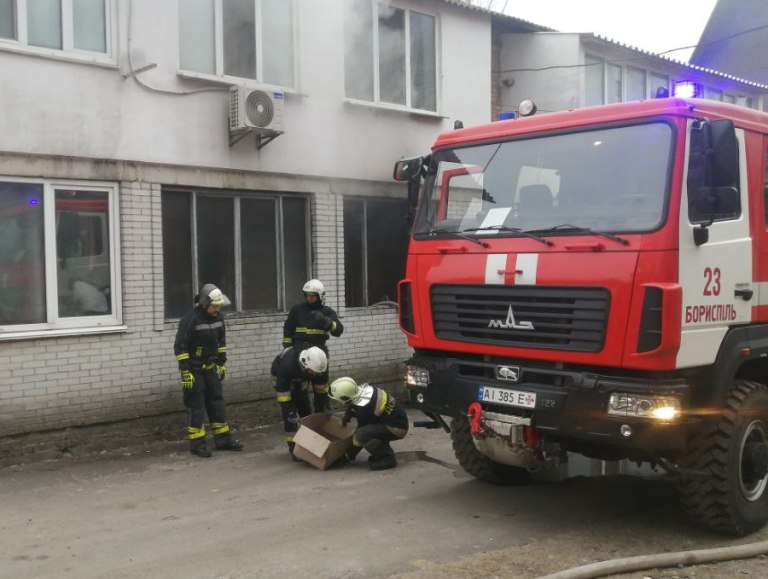 Под Киевом из горящей квартиры вынесли коробку со щенками