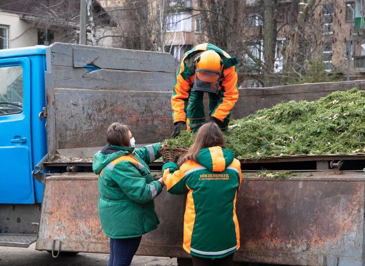 Киевляне сдали на переработку сотни елок