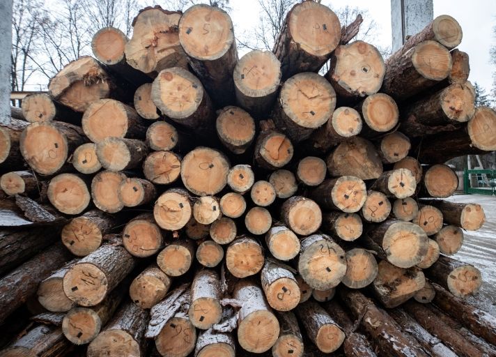 На случай блэкаута: в Киеве запасаются дровами