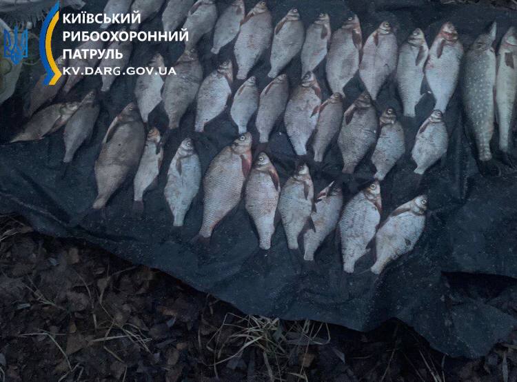 На Каневском водохранилище браконьер наловил рыбы на 63 тысячи