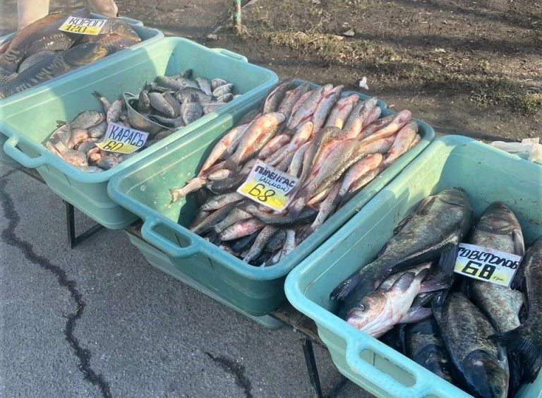 В Киеве у продавца изъяли рыбу