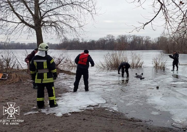 В Киеве рыбак погиб, провалившись под лед: тело нашли в десятках метров от берега
