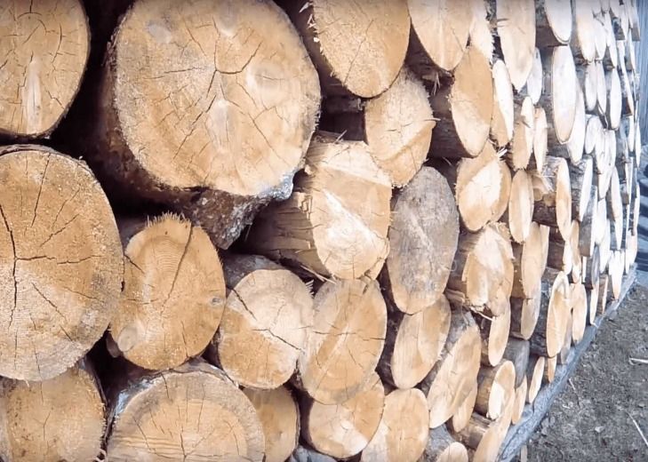 У Київській області шахраї продають неіснуючі дрова